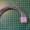 Deutsch DT06-12S-C015 12-way socket plug pigtail full assembly showing grey housing, orange E-seal and twelve cable tails — Voltforge 430019-000